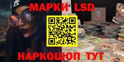 a pvp Новозыбков