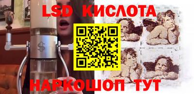 шишки Новодвинск