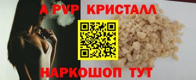 шишки Новодвинск