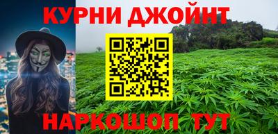 a pvp Новозыбков