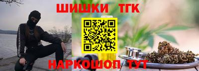 шишки Новодвинск