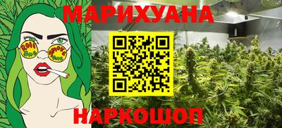 a pvp Новозыбков