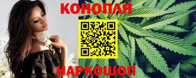 a pvp Новозыбков