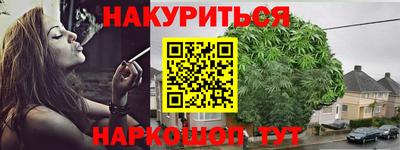 шишки Новодвинск