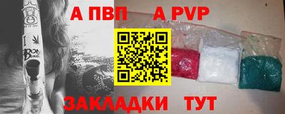 a pvp Новозыбков