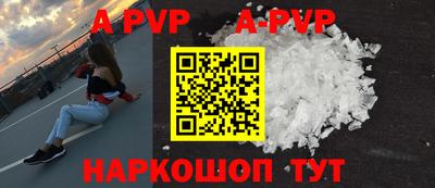 a pvp Новозыбков
