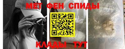 шишки Новодвинск