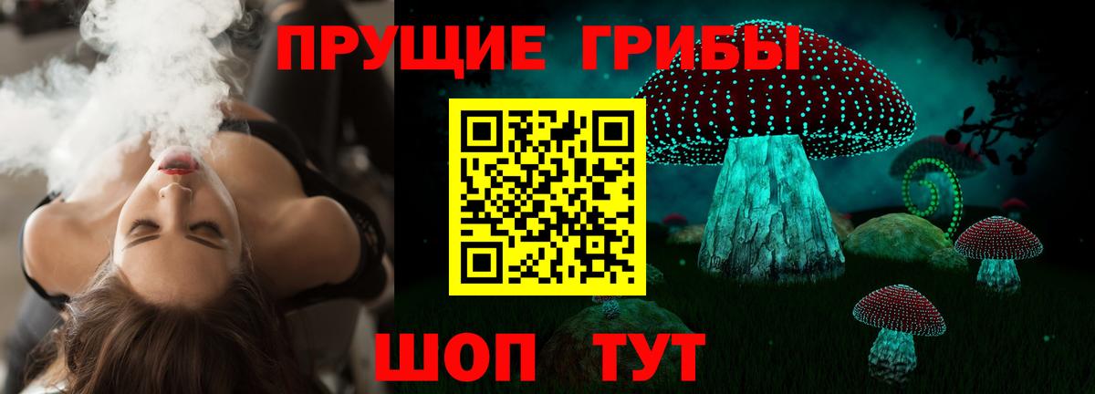 Сафоново  Псилоцибиновые грибы Psilocybe  Вход с VPN 